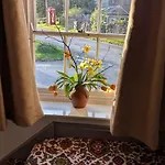 Maple Cottage, Stylish For 6 Near The District Nyaraló *